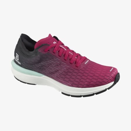 Salomon SONIC 3 Accelerate W Womens Running Shoes Fuchsia UK ORLT